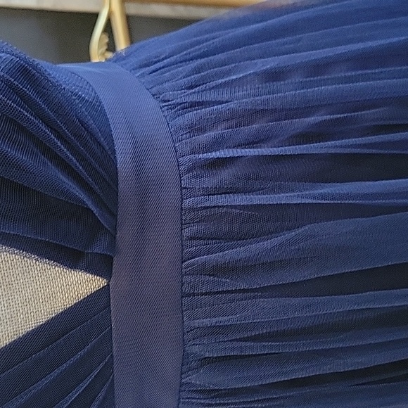 Windsor Elizabeth Pleated Tulle Maxi Dress - Picture 7 of 13